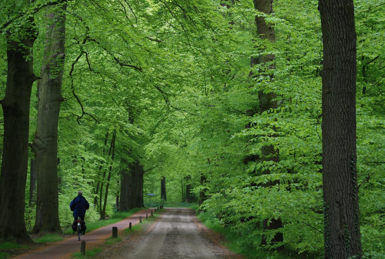 B&B De Groene Brug Delden Zewnętrze zdjęcie